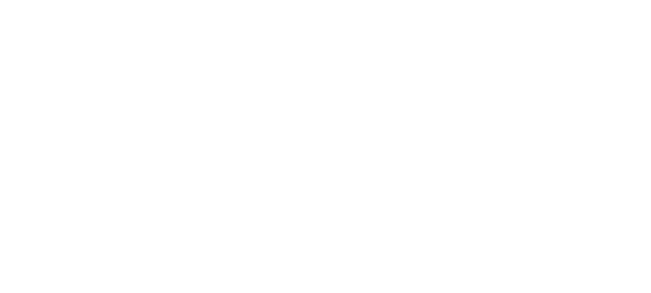 Boggi